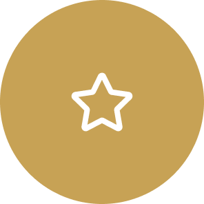 Star icon for estimates